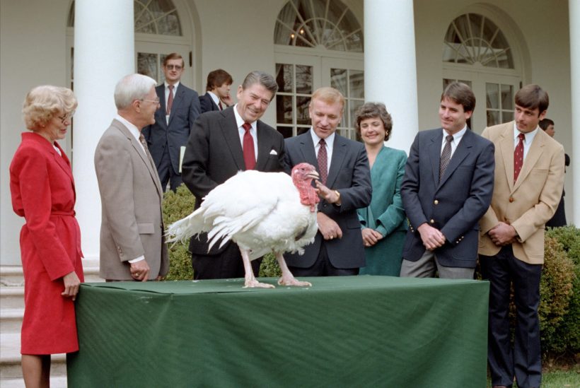 President Reagan participates in a turkey pardoning at the White House. 