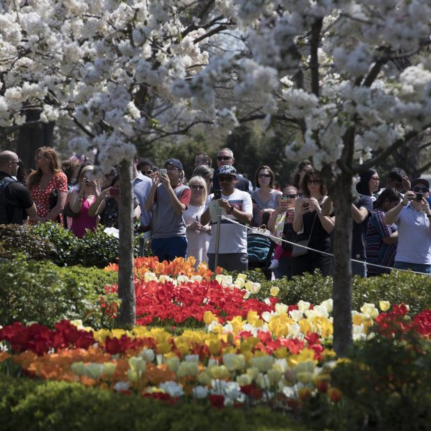 As May Flowers Bloom, A Closer Look at White House Gardens Past and