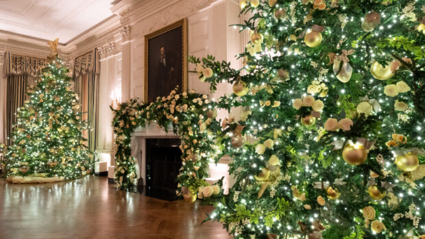 2022 White House Christmas Tree First Lady Melania Trump Unveils the 2020 White House Christmas Décor