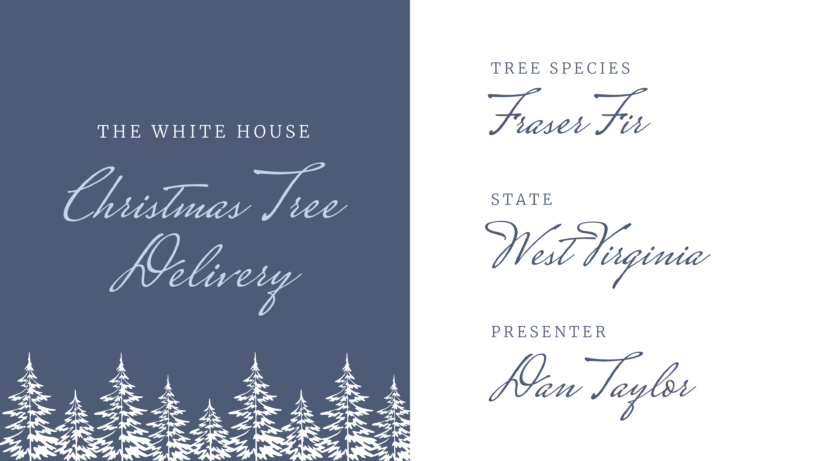 white house christmas tour 2017